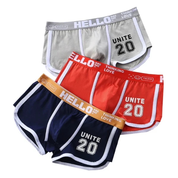 6-Pack Cotton Men's Underwear - Large Size Boxer Shorts - Image 2