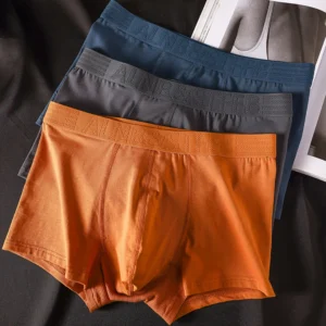 3-Pack Men's Cotton Antibacterial Boxer Briefs